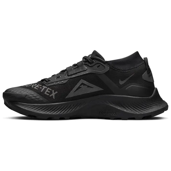 Кроссовки для женщин Nike Pegasus Trail 3 GORE-TEX Осень/ Черный photo 2