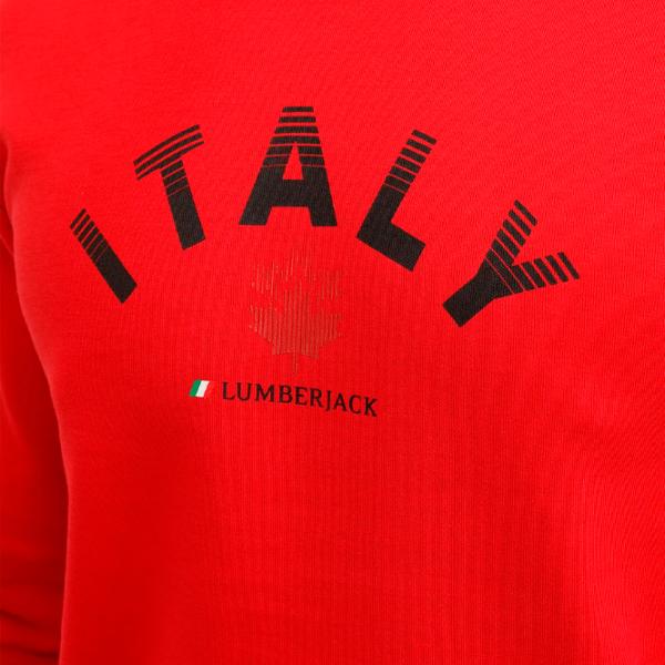 Hanorac pentru bărbați Lumberjack ML ROBERT 16ITLY72 3PR Drept/ Red photo 4