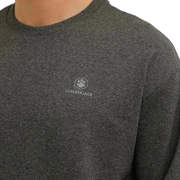 Hanorac pentru bărbați Lumberjack 3W M-SN75 BSC C NECK SW 3PR Drept/ Anthracite photo 4