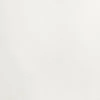 Hanorac pentru femei Nike W Nsw Style Flc Po Hoodie Os White photo 9