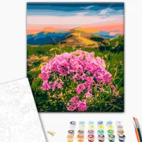 Картина по номерам BrushMe Цветение Карпат 50 x 40 см/ Вертикальная photo 2