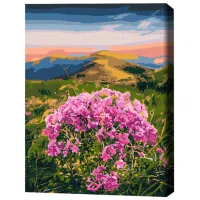 Картина по номерам BrushMe Цветение Карпат 50 x 40 см/ Вертикальная photo 3