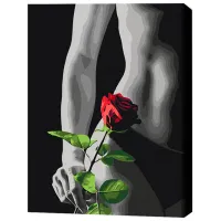 Картина по номерам BrushMe Элегантный акцент 50 x 40 см/ Вертикальная photo 3