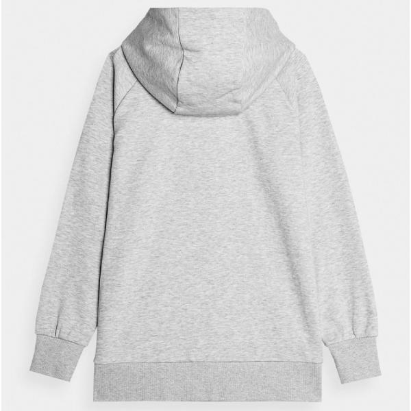 Hanorac pentru femei 4F PULLOVER HOODIE Toamnă - iarnă/ Gray photo 2