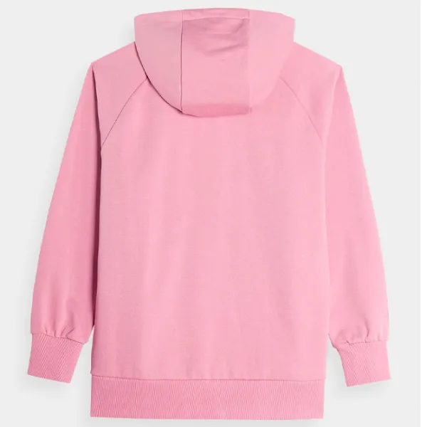 Толстовка для женщин 4F PULLOVER HOODIE Осень - Зима/ Розовый photo 2