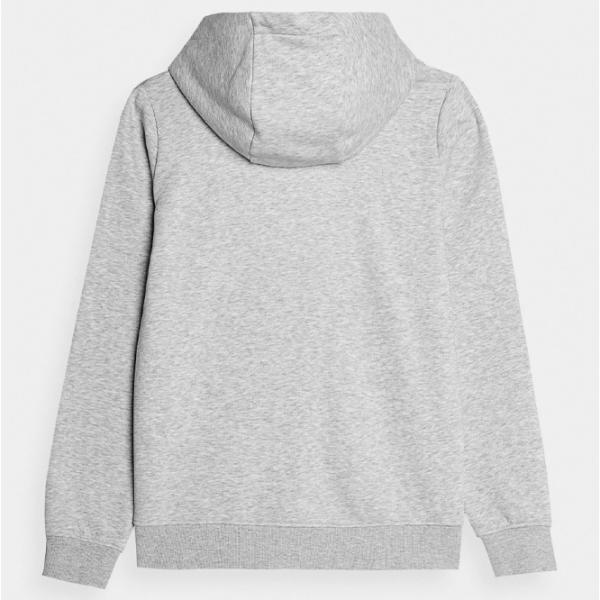Hanorac pentru femei 4F ZIP-UP HOODIE Toamnă - iarnă/ Gray photo 2