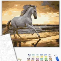 Картина по номерам BrushMe Бег рысью на побережье 50 x 40 см/ Горизонтальная photo 2