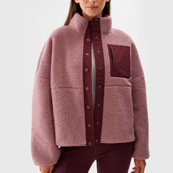 Hanorac pentru femei 4F SHERPA FLEECE WITH STAND-UP COLLAR Toamnă - iarnă/ Pink photo 3