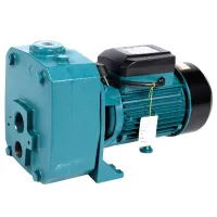 Pompă de suprăfață Micul Fermier DP750A 1500 W 10800 l/ h photo 3