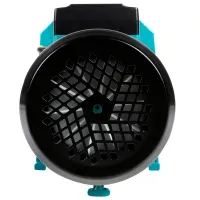 Pompă de suprăfață Micul Fermier DP750A 1500 W 10800 l/ h photo 4