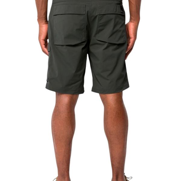 Шорты для мужчин Jack Wolfskin Wanderthirst Shorts M S/ Серый photo 3