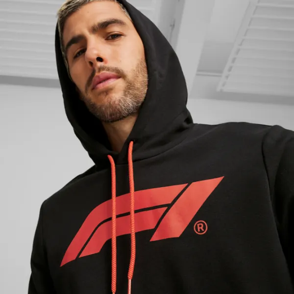 Hanorac pentru bărbați Puma F1 Ess Logo Drept/ Black photo 6