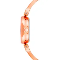 Наручные часы для женщин ANNE KLEIN AK/ 1980BYRG Кварцевый/ 28 мм photo 2