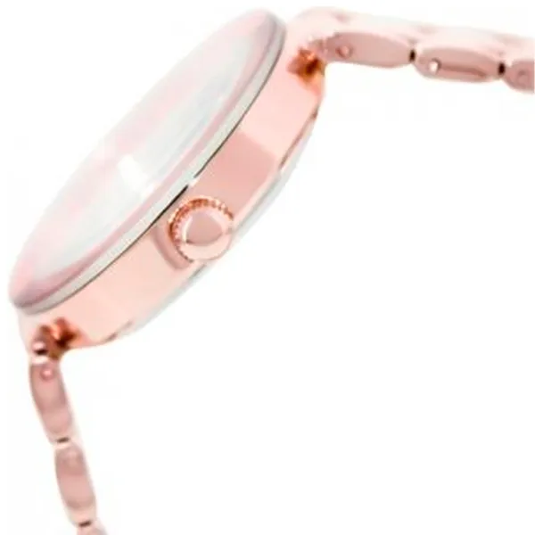 Ceas de mână pentru femei ANNE KLEIN AK/ 1362RGRG Cuarț/ 33 mm photo 2 Ceas de mână pentru femei ANNE KLEIN AK/ 1362RGRG Cuarț/ 33 mm photo 2