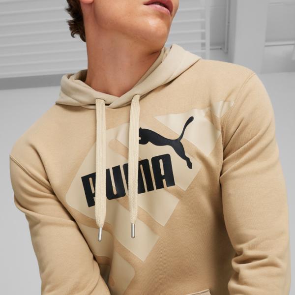 Hanorac pentru bărbați Puma Power Graphic Hoodie Drept/ Prairie Tan photo 6
