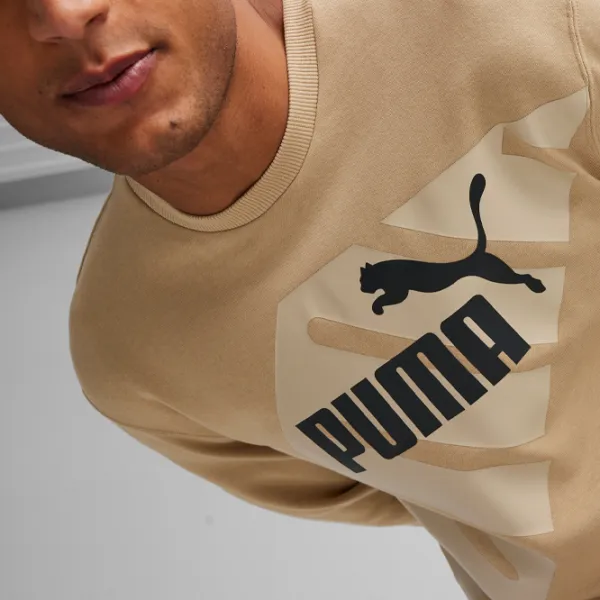 Hanorac pentru bărbați Puma Power Graphic Crew Tr Drept/ Beige photo 6