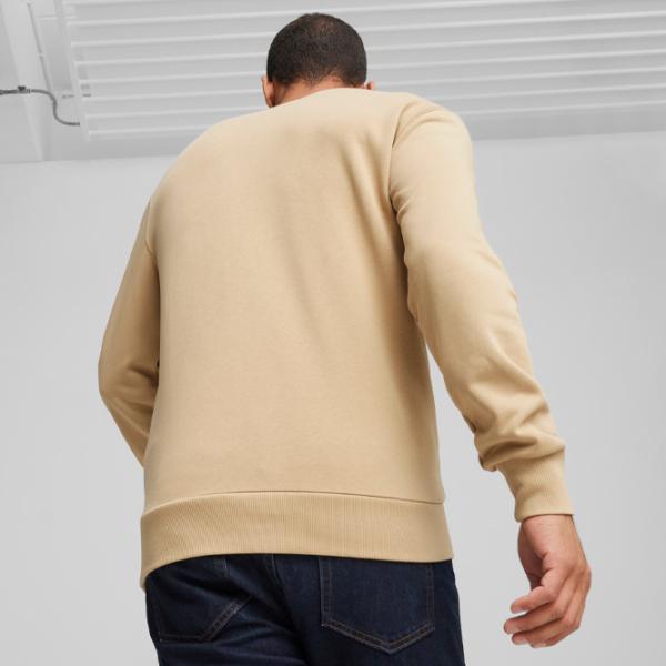 Hanorac pentru bărbați Puma Power Graphic Crew Tr Drept/ Beige photo 4