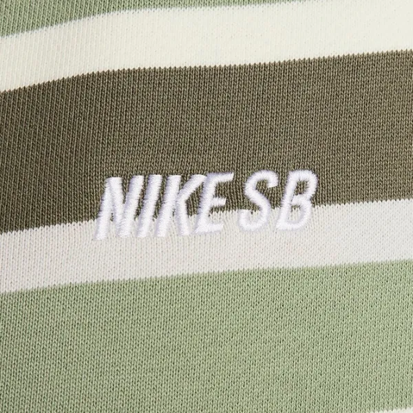Hanorac pentru bărbați Nike Sb Flc Fz Stripes Drept/ Green photo 8