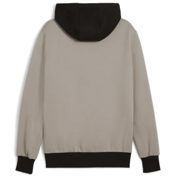 Hanorac pentru bărbați Puma Posterize 2.0 Drept/ Gray photo 2