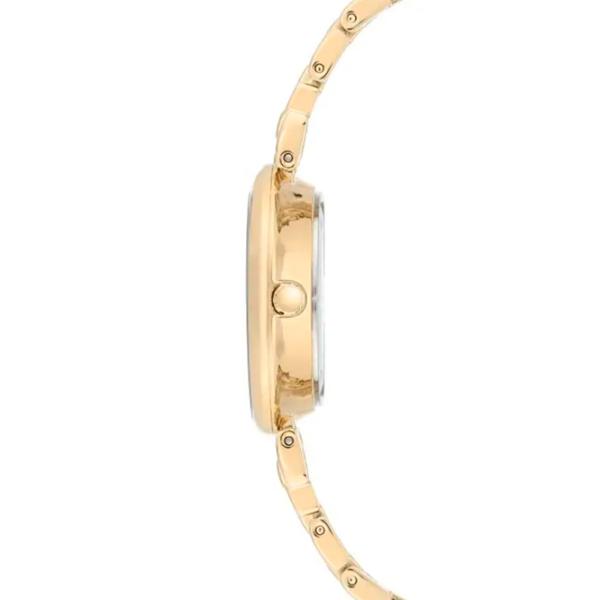 Ceas de mână pentru femei ANNE KLEIN AK/ 3630MPGB Cuarț/ 32 mm photo 2