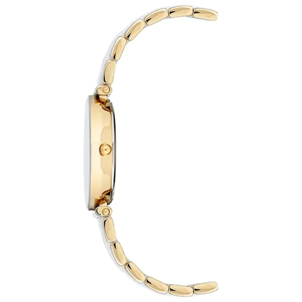 Ceas de mână pentru femei ANNE KLEIN AK/ 3158WTGB Cuarț/ 30 mm photo 2 Ceas de mână pentru femei ANNE KLEIN AK/ 3158WTGB Cuarț/ 30 mm photo 2
