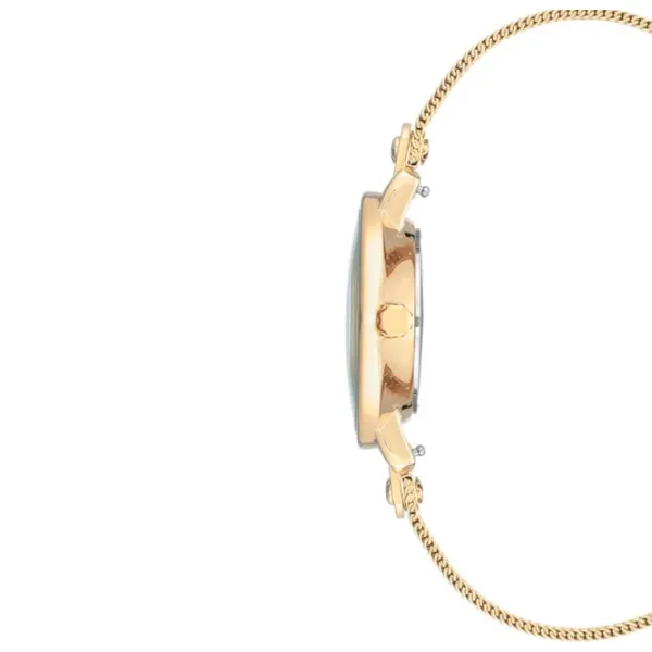 Ceas de mână pentru femei ANNE KLEIN AK/ 3180GBST Cuarț/ 30 mm photo 2 Ceas de mână pentru femei ANNE KLEIN AK/ 3180GBST Cuarț/ 30 mm photo 2