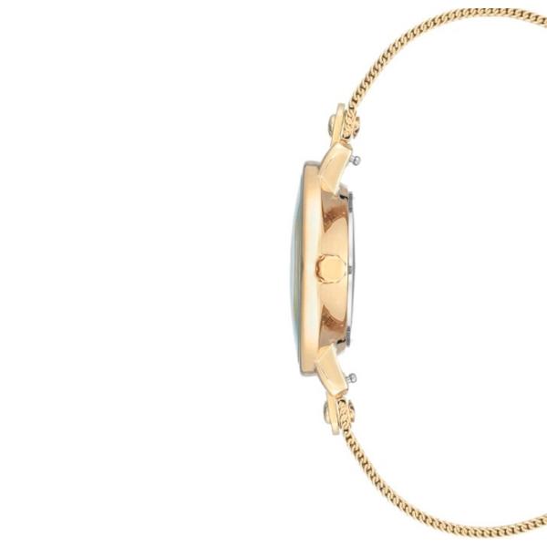 Ceas de mână pentru femei ANNE KLEIN AK/ 3180GBST Cuarț/ 30 mm photo 2 Ceas de mână pentru femei ANNE KLEIN AK/ 3180GBST Cuarț/ 30 mm photo 2