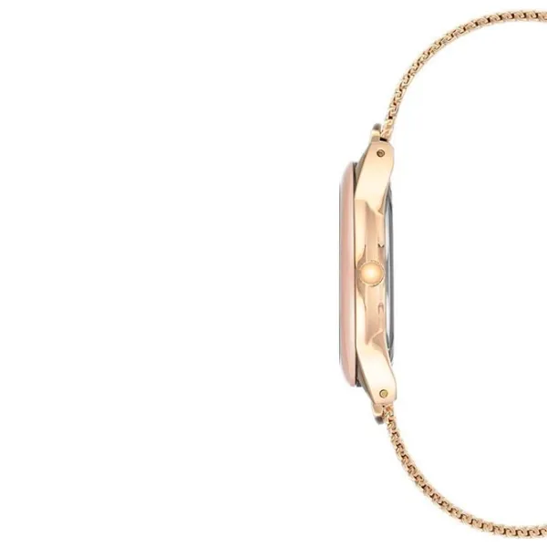 Наручные часы для женщин ANNE KLEIN AK/ 3258LPGB Кварцевый/ 32 мм photo 3 Наручные часы для женщин ANNE KLEIN AK/ 3258LPGB Кварцевый/ 32 мм photo 3