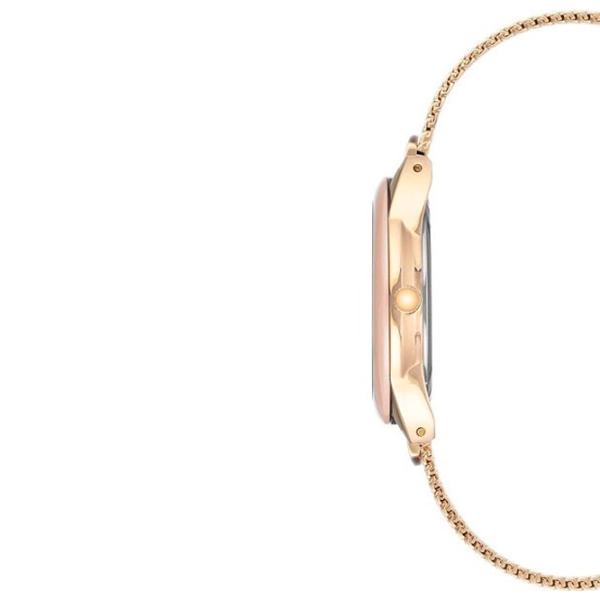 Наручные часы для женщин ANNE KLEIN AK/ 3258LPGB Кварцевый/ 32 мм photo 3 Наручные часы для женщин ANNE KLEIN AK/ 3258LPGB Кварцевый/ 32 мм photo 3