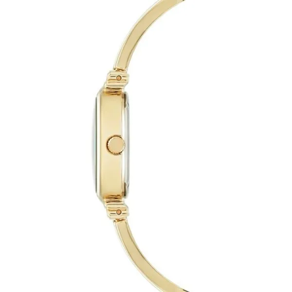 Наручные часы для женщин ANNE KLEIN AK/ 2216IVGB Кварцевый/ 26 мм photo 2