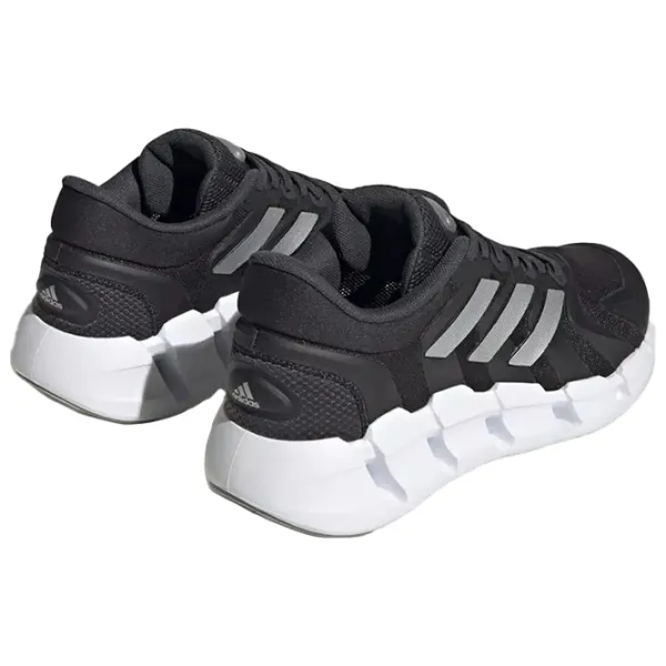 Кроссовки для женщин Adidas Ventice Climacool W Весна/ Черный photo 6