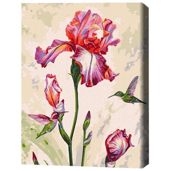 Pictură pe numere BrushMe Întâlnire matinală 50 x 40 cm/ Verticală photo 3