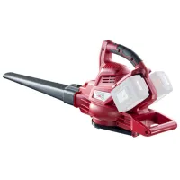 Suflantă de frunze Raider RDP-SEBV20 Cu acumulator / Red photo 6