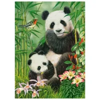Puzzle 2D Castorland 300 Panda Brunch 8+/ Numărul de piese: 300 photo 2