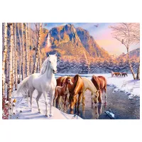 Puzzle 2D Castorland 500 Winter Melt 9+/ Numărul de piese: 500 photo 2