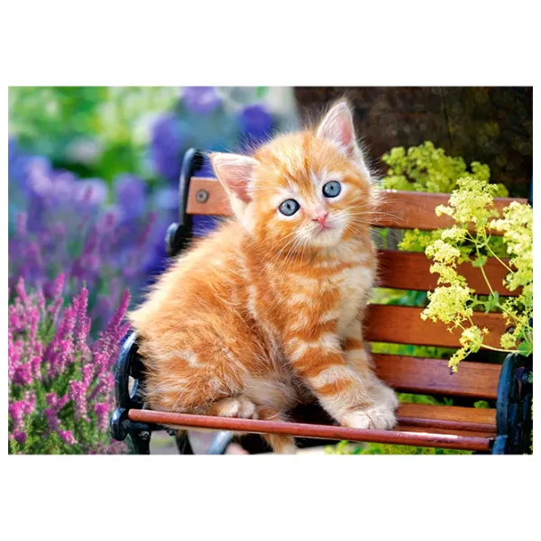 Puzzle 2D Castorland 500 Ginger Kitten 9+/ Numărul de piese: 500 photo 2