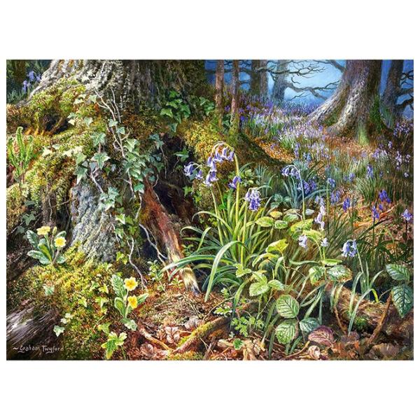 Puzzle 2D Castorland 2000 From Rusland Woods 9+/ Numărul de piese: 2000 photo 2