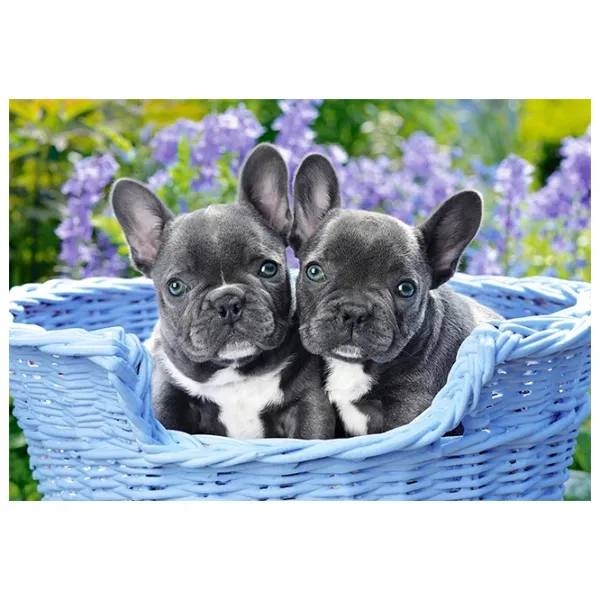 Puzzle 2D Castorland 1000 French Bulldog Puppies 9+/ Numărul de piese: 1000 photo 2