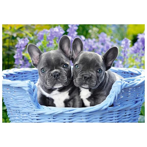 Puzzle 2D Castorland 1000 French Bulldog Puppies 9+/ Numărul de piese: 1000 photo 2