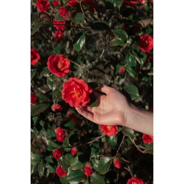 Фотобумага для Hi-Print Generation 2 (20шт.) Глянец/ A6/ Белый photo 4