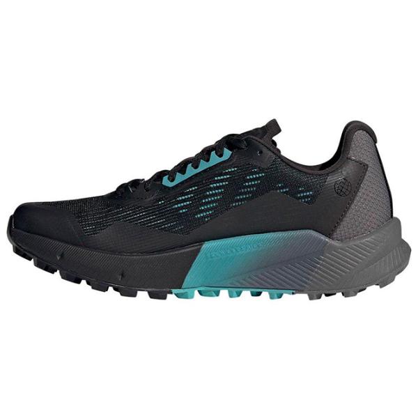Adidași pentru femei Adidas Terrex Agravic Flow 2 GORE-TEX Toamnă/ Black photo 2