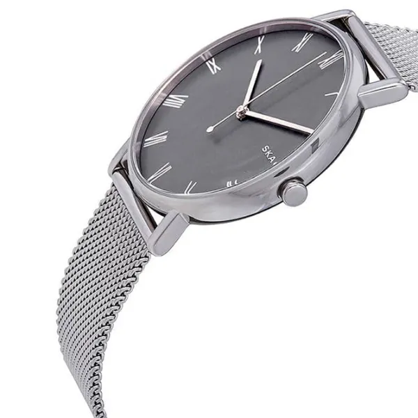 Ceas de mână unisex Skagen SKW6428 Cuarț/ 40 mm photo 2 Ceas de mână unisex Skagen SKW6428 Cuarț/ 40 mm photo 2
