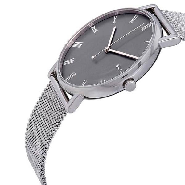 Ceas de mână unisex Skagen SKW6428 Cuarț/ 40 mm photo 2 Ceas de mână unisex Skagen SKW6428 Cuarț/ 40 mm photo 2