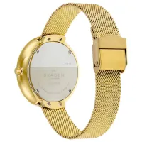 Ceas de mână pentru femei Skagen SKW2373 Cuarț/ 38 mm photo 4