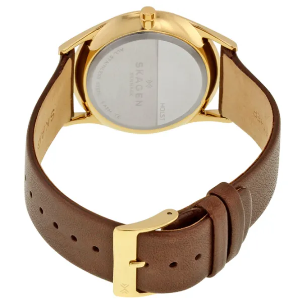 Наручные часы для мужчин Skagen SKW6225 Кварцевый/ 40 мм photo 4 Наручные часы для мужчин Skagen SKW6225 Кварцевый/ 40 мм photo 4