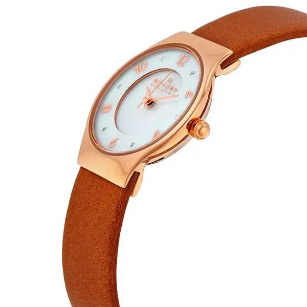 Ceas de mână pentru femei Skagen SKW2210 Cuarț/ 24 mm photo 2 Ceas de mână pentru femei Skagen SKW2210 Cuarț/ 24 mm photo 2