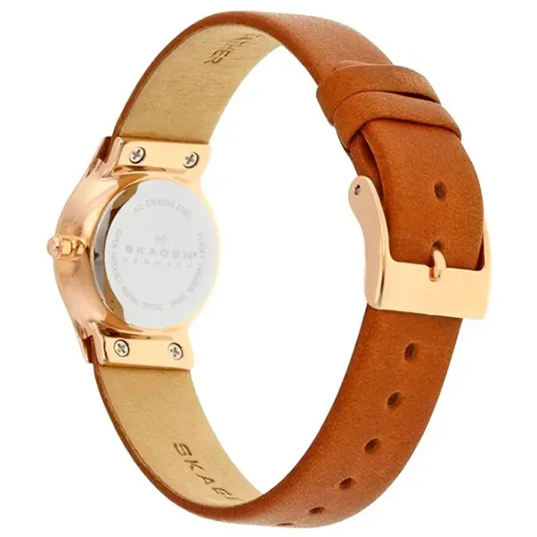 Ceas de mână pentru femei Skagen SKW2210 Cuarț/ 24 mm photo 3 Ceas de mână pentru femei Skagen SKW2210 Cuarț/ 24 mm photo 3