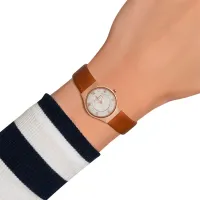 Ceas de mână pentru femei Skagen SKW2210 Cuarț/ 24 mm photo 5