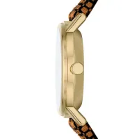 Ceas de mână pentru femei Skagen SKW3106 Cuarț/ 32 mm photo 2