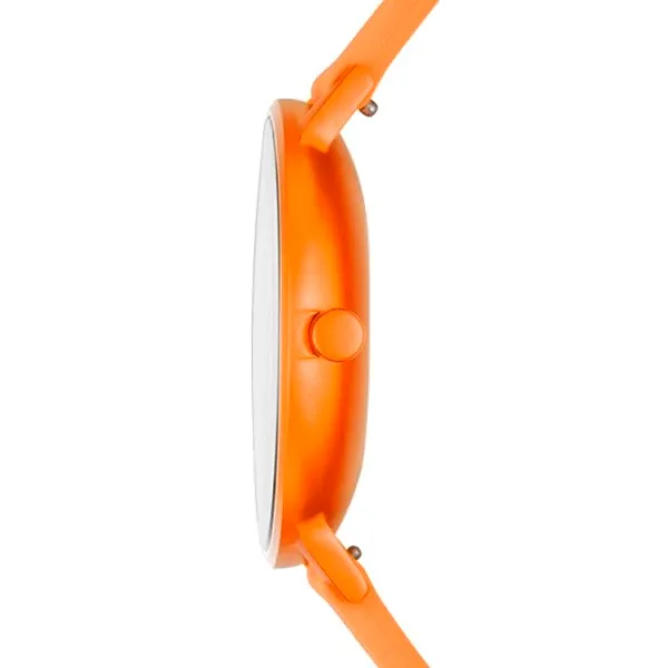 Ceas de mână unisex Skagen SKW6558 Cuarț/ 41 mm photo 2